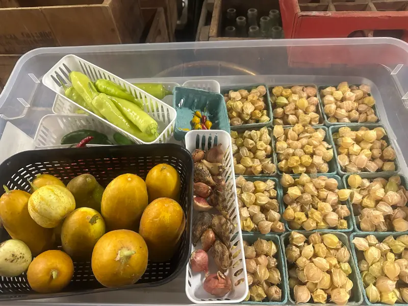 Home 5 Asst. Produce