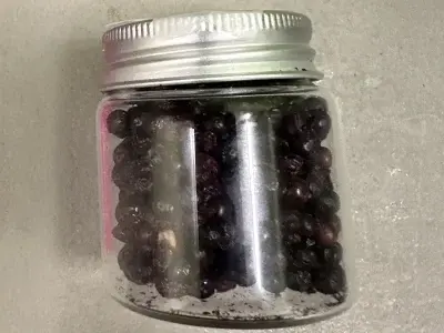 Elderberries